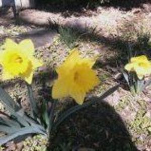 Meet your Posher, Beverly